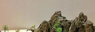 选择加湿器时如何判断哪家品牌好？