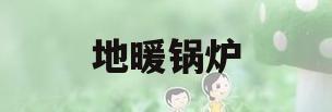 地暖锅炉(地暖锅炉和燃气热水器)
