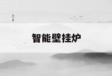 智能壁挂炉(小V智能壁挂炉)