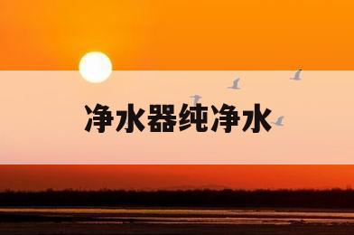 净水器纯净水(净水器纯净水可以直接喝吗)