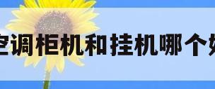 空调柜机和挂机哪个好(空调挂机和柜机哪个效果好)