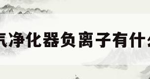 空气净化器负离子有什么用(空气净化器负离子是什么作用)