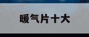 暖气片十大(暖气片十大品牌厂家)