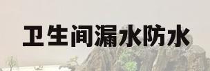 卫生间漏水防水(卫生间漏水防水补漏方法)