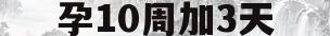 孕10周加3天(孕10周加3天胎儿大小)