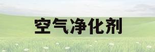空气净化剂(海泡石空气净化剂)