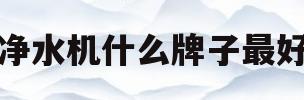 净水机什么牌子最好(净水机什么牌子的好?)