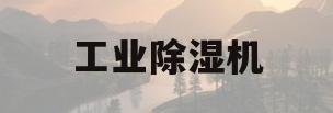 工业除湿机(工业除湿机租赁)