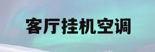 客厅挂机空调(客厅挂机空调安装最佳位置图)