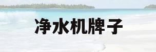净水机牌子(净水机牌子有个叫什么可)