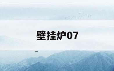 壁挂炉07(壁挂炉07一直闪)