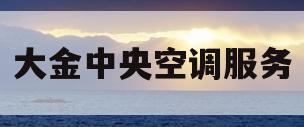 大金中央空调服务(大金中央空调服务政策)