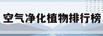 空气净化植物排行榜(十大净化空气植物排行榜)