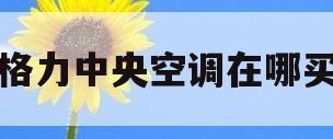 格力中央空调在哪买(格力中央空调有直营店吗)