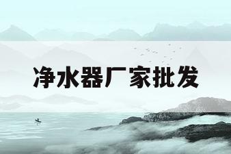 净水器厂家批发(净水器厂家批发电话)