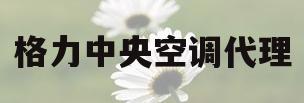 格力中央空调代理(格力中央空调代理加盟条件)