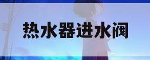 热水器进水阀(热水器进水阀门漏水怎么回事)