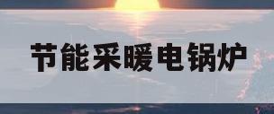 节能采暖电锅炉(节能电锅炉费电吗)