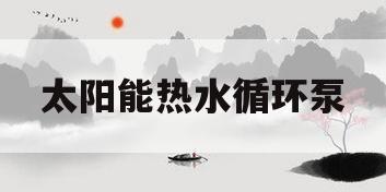太阳能热水循环泵(太阳能热水循环泵管道阻力)