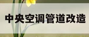 中央空调管道改造(中央空调管道改造公司)
