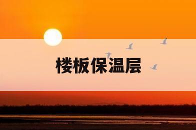 楼板保温层(楼板保温层需要铲掉吗)