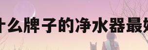 什么牌子的净水器最好(什么牌子的净水器最好排名)