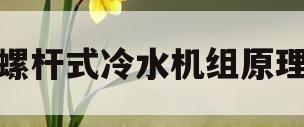 螺杆式冷水机组原理(螺杆式冷水机组工作原理视频)