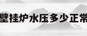 壁挂炉水压多少正常(小松鼠壁挂炉水压多少正常)