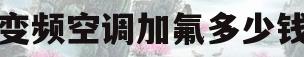 变频空调加氟多少钱(2p变频空调加氟多少钱)