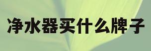 净水器买什么牌子(净水器买什么牌子的好,性价比超高的)
