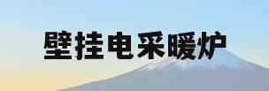 壁挂电采暖炉(壁挂电采暖炉耗电量)