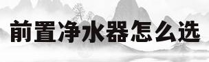 前置净水器怎么选(前置净水器怎么选择)