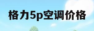 格力5p空调价格(格力5匹立式空调多少钱)