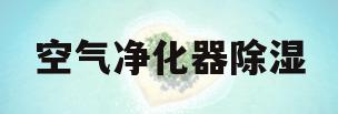 空气净化器除湿(空气净化器除湿有用吗)