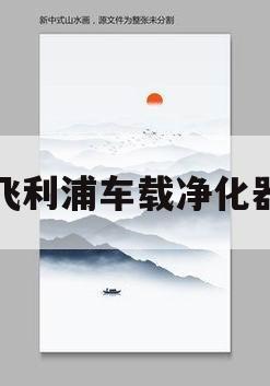 飞利浦车载净化器(飞利浦车载净化器7101和330)