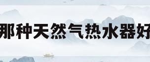 那种天然气热水器好(那种天然气热水器好用又省气)