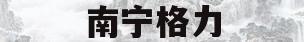 南宁格力(南宁格力空调加雪种)