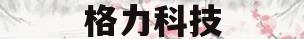 格力科技(格力科技管理岗位薪资)