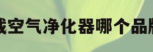 车载空气净化器哪个品牌好(车载空气净化器哪个品牌好一点)