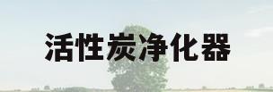 活性炭净化器(活性炭净化器多少钱)