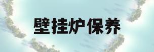 壁挂炉保养(壁挂炉保养多少钱)