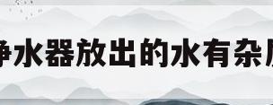 净水器放出的水有杂质(净水器出来的水有很多沉淀物)