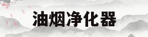 油烟净化器(油烟净化器安装效果图)
