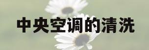 中央空调的清洗(中央空调的清洗模式什么意思)
