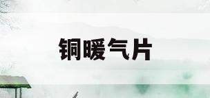 铜暖气片(铜暖气片的缺点)