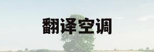 翻译空调(英语翻译空调)