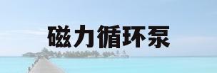 磁力循环泵(磁力循环泵流量)
