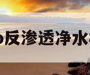 ro反渗透净水机(ro反渗透净水机的工作原理)