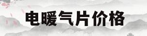 电暖气片价格(电热暖气片价格)