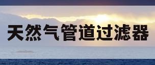 天然气管道过滤器(天然气管道过滤器刷什么颜色)
